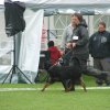 World Show 1