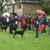 World Show 1
