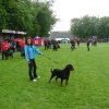 World Show 1