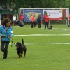 World Show 1
