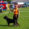World Show 1
