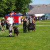World Show 1