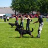 World Show 1