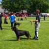 World Show 1