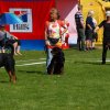 World Show 1