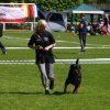 World Show 1