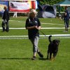 World Show 1