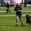 World Show 1