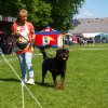 World Show 1