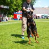World Show 1