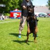 World Show 1