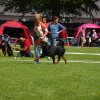 World Show 1