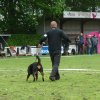 World Show 1