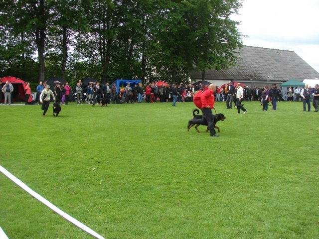 World Show 2