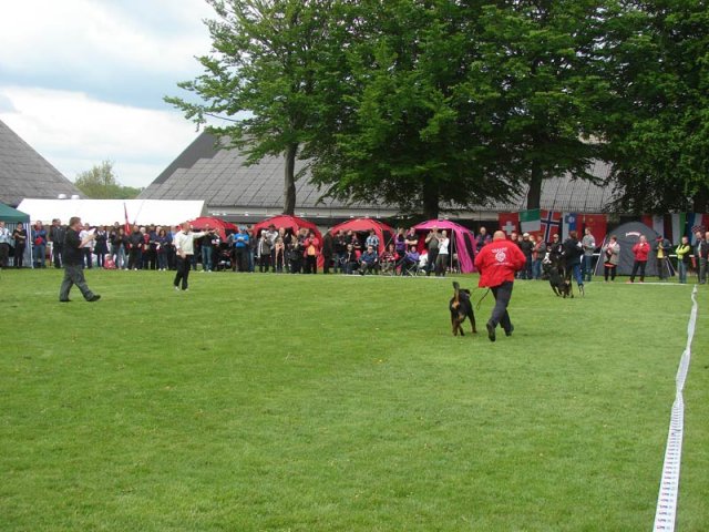 World Show 2