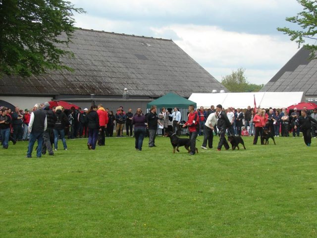 World Show 2
