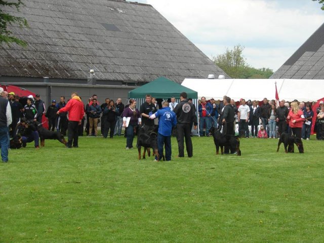 World Show 2