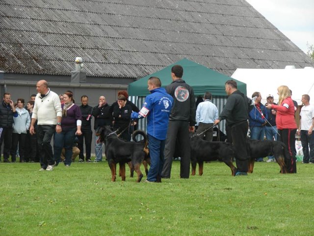 World Show 2
