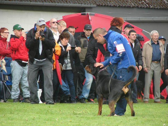 World Show 2