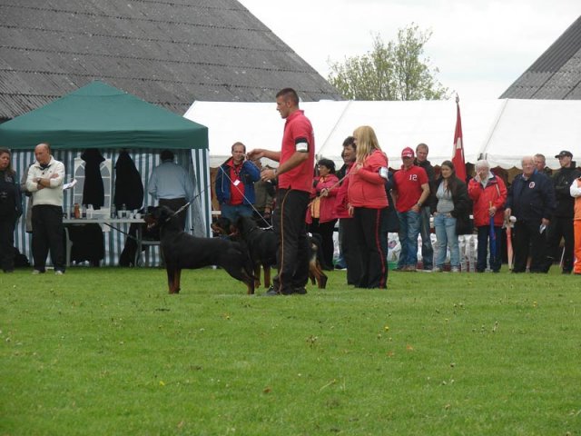 World Show 2