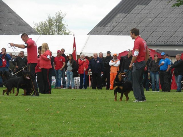 World Show 2