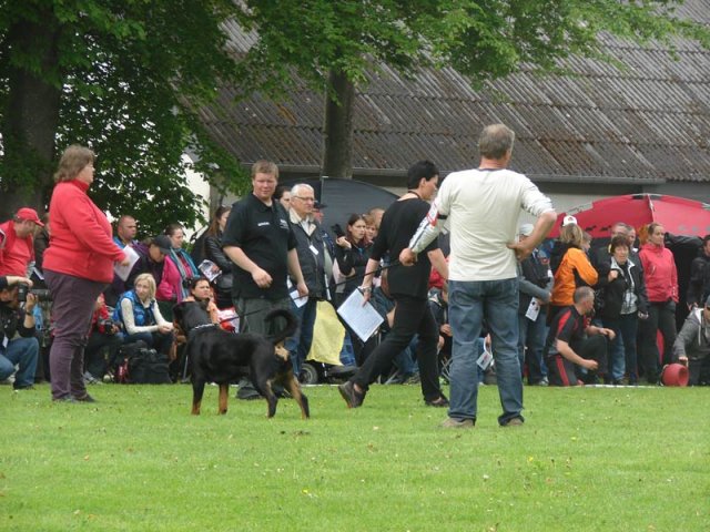 World Show 2