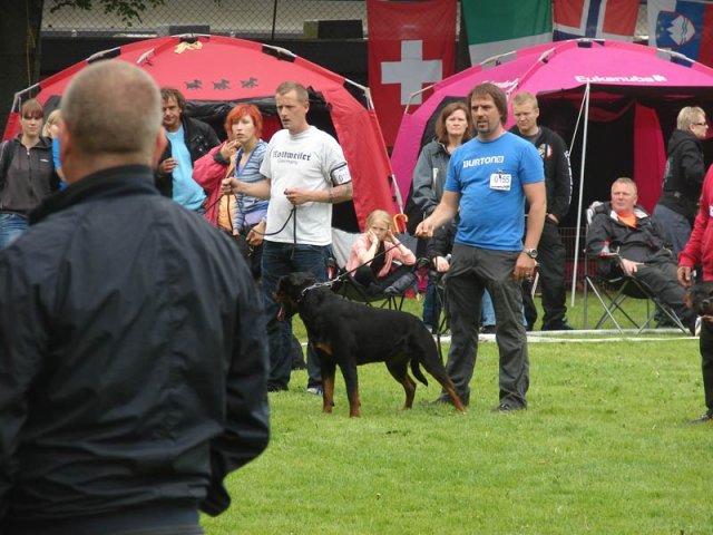 World Show 2