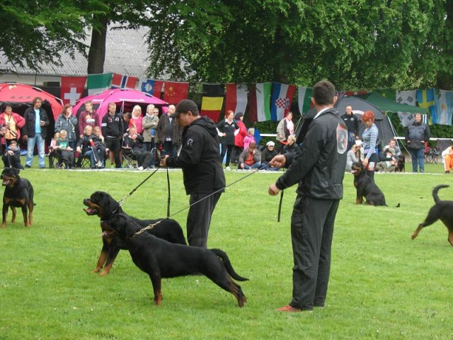 World Show 2