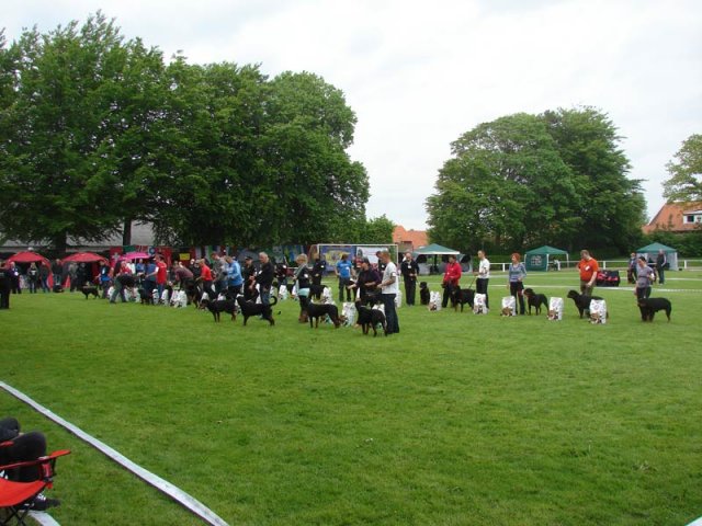 World Show 2