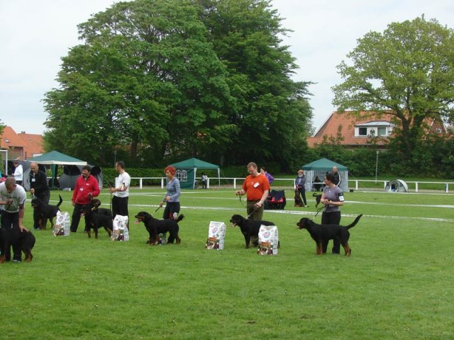 World Show 2