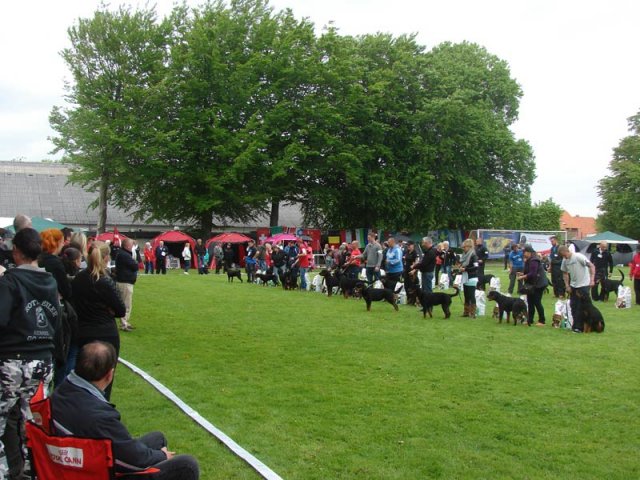 World Show 2