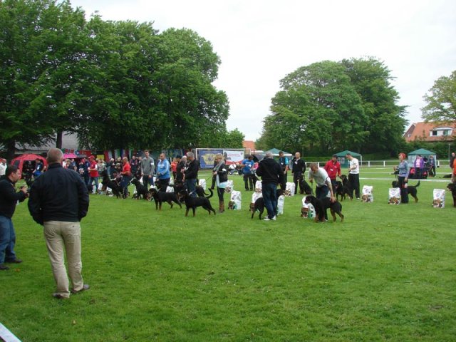 World Show 2