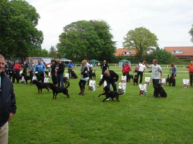 World Show 2