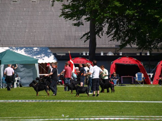 World Show 2