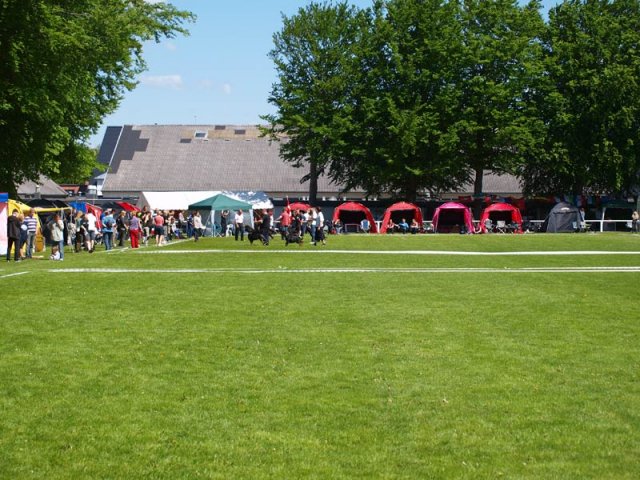 World Show 2