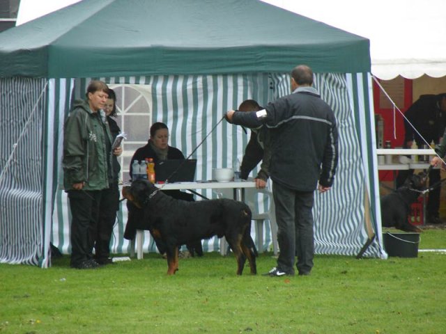 World Show 2