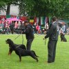World Show 2