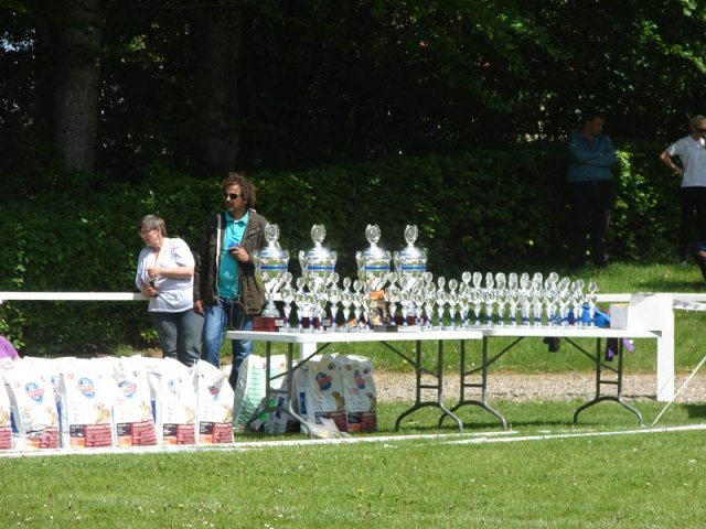 World Show 3