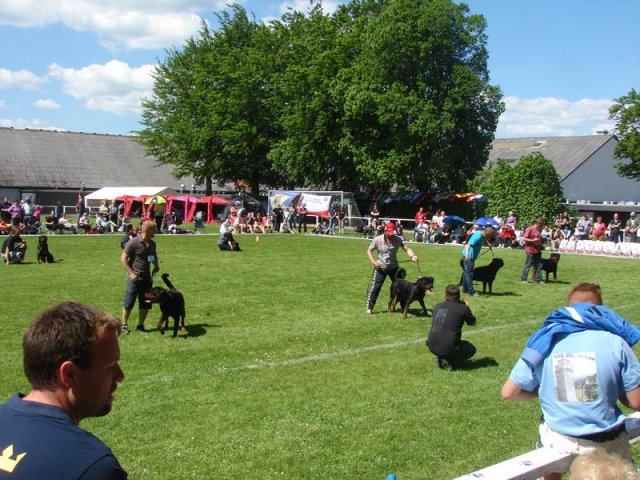 World Show 3
