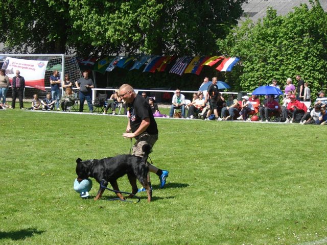 World Show 3