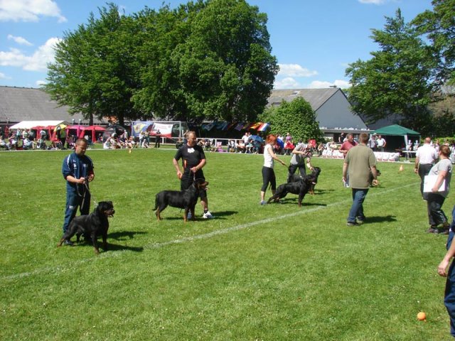 World Show 3