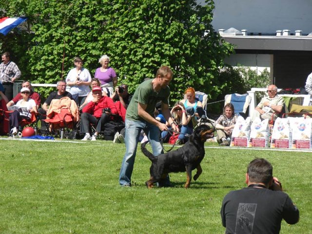 World Show 3