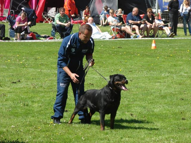 World Show 3