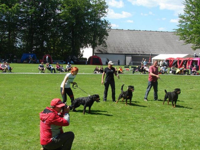 World Show 3