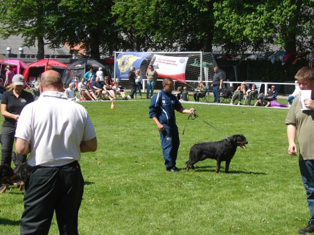 World Show 3