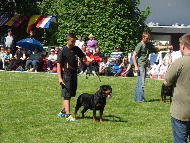 World Show 3