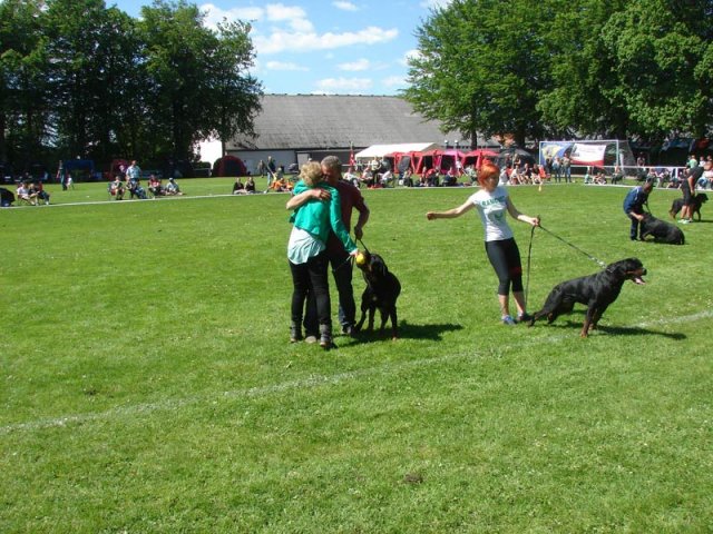 World Show 3