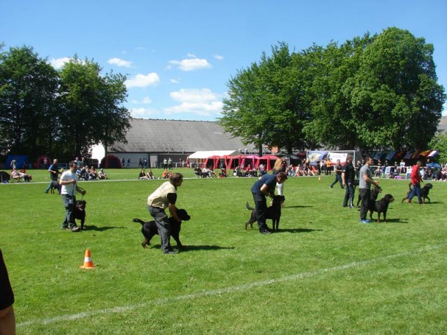 World Show 3