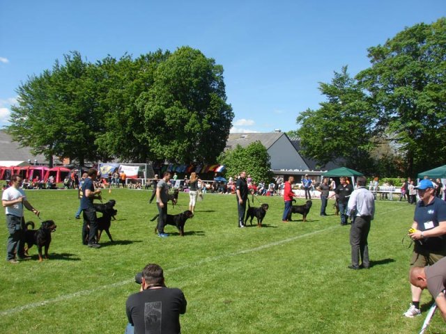 World Show 3