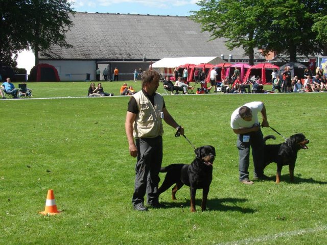 World Show 3